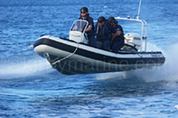 5.4m Naiad PIRSA tender vessel