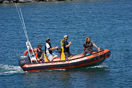 4.8m Naiad Augusta Sea Search Rescue Vessel